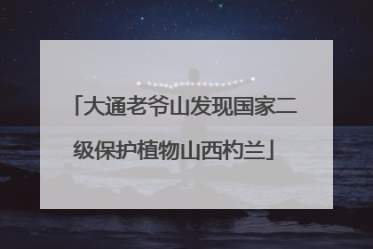 大通老爷山发现国家二级保护植物山西杓兰