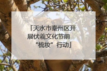 天水市秦州区开展伏羲文化节前 “梳妆”行动
