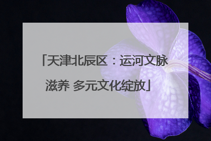 天津北辰区：运河文脉滋养 多元文化绽放