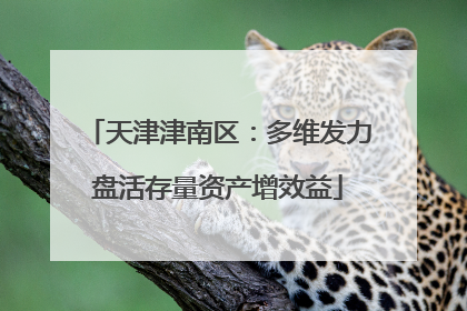 天津津南区：多维发力盘活存量资产增效益