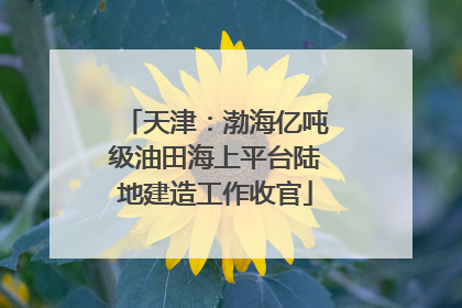 天津：渤海亿吨级油田海上平台陆地建造工作收官