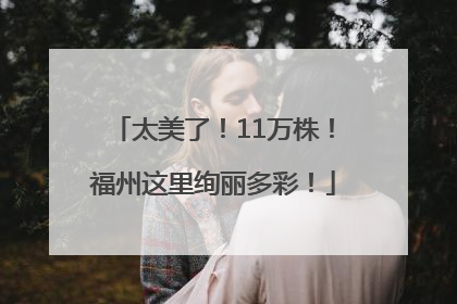 太美了！11万株！福州这里绚丽多彩！