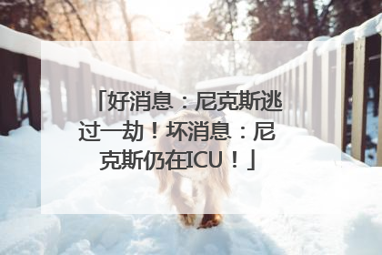 好消息：尼克斯逃过一劫！坏消息：尼克斯仍在ICU！