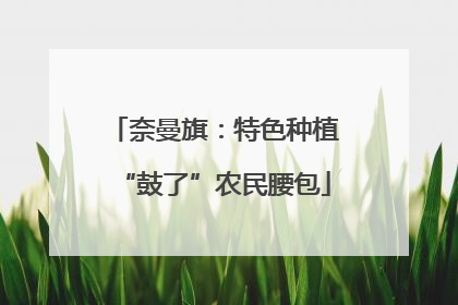 奈曼旗：特色种植“鼓了”农民腰包