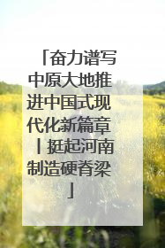 奋力谱写中原大地推进中国式现代化新篇章丨挺起河南制造硬脊梁