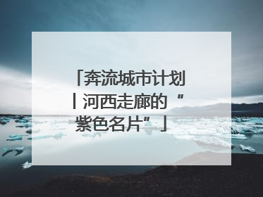 奔流城市计划丨河西走廊的“紫色名片”