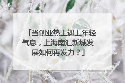 当创业热土遇上年轻气息，上海南汇新城发展如何再发力？
