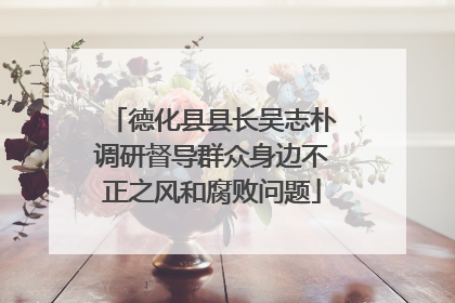 德化县县长吴志朴调研督导群众身边不正之风和腐败问题
