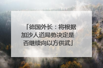 德国外长：将根据加沙人道局势决定是否继续向以方供武
