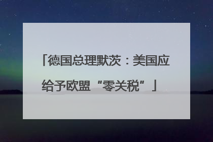 德国总理默茨：美国应给予欧盟“零关税”