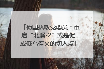 德国执政党要员：重启“北溪-2”或是促成俄乌停火的切入点
