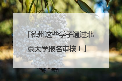 德州这些学子通过北京大学报名审核！