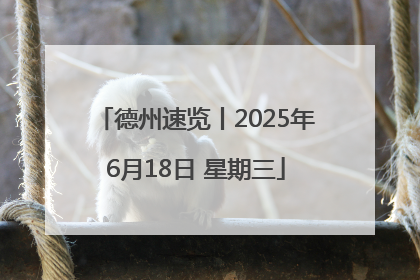 德州速览丨2025年6月18日 星期三