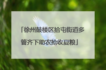 徐州鼓楼区拾屯街道多管齐下助农抢收夏粮
