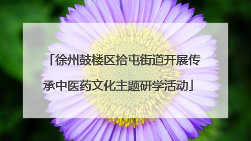 徐州鼓楼区拾屯街道开展传承中医药文化主题研学活动