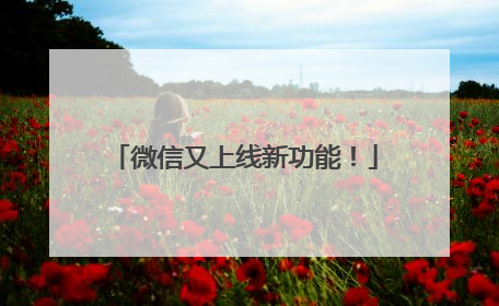 微信又上线新功能！
