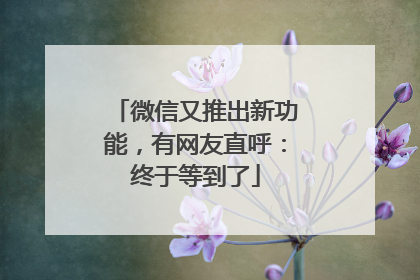微信又推出新功能，有网友直呼：终于等到了