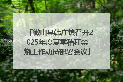 微山县韩庄镇召开2025年度夏季秸秆禁烧工作动员部署会议