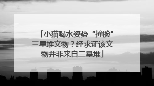 小猫喝水姿势“撞脸”三星堆文物？经求证该文物并非来自三星堆