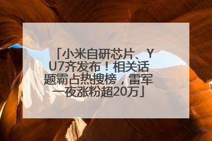小米自研芯片、YU7齐发布！相关话题霸占热搜榜，雷军一夜涨粉超20万
