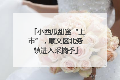 小西瓜甜蜜“上市”，顺义区北务镇进入采摘季