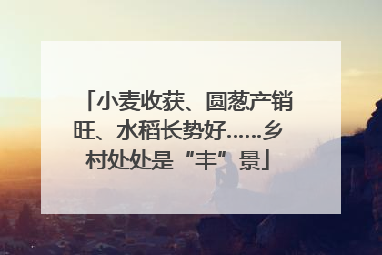 小麦收获、圆葱产销旺、水稻长势好……乡村处处是“丰”景