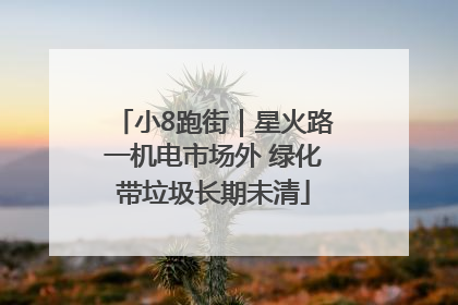 小8跑街｜星火路一机电市场外 绿化带垃圾长期未清