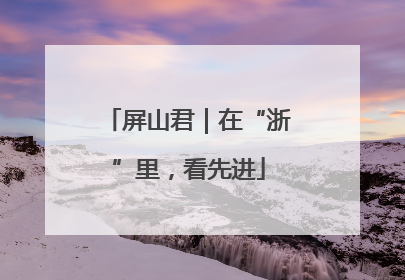 屏山君｜在“浙”里，看先进