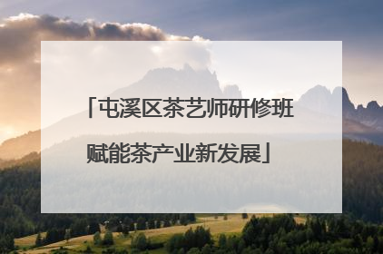 屯溪区茶艺师研修班赋能茶产业新发展