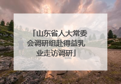 山东省人大常委会调研组赴得益乳业走访调研