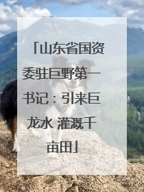 山东省国资委驻巨野第一书记：引来巨龙水 灌溉千亩田