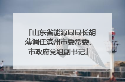 山东省能源局局长胡薄调任滨州市委常委、市政府党组副书记