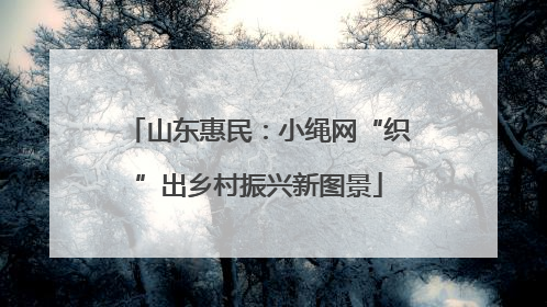 山东惠民：小绳网“织”出乡村振兴新图景