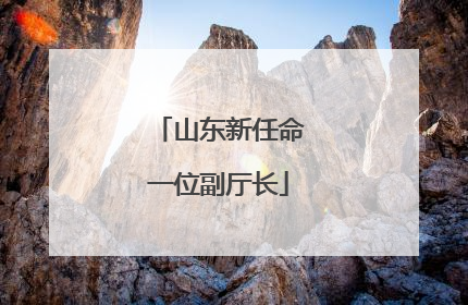 山东新任命一位副厅长