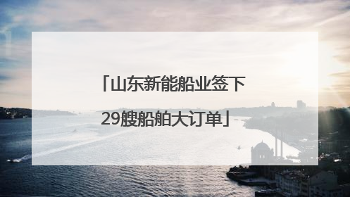 山东新能船业签下29艘船舶大订单