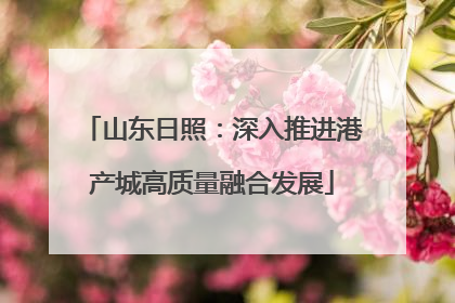 山东日照：深入推进港产城高质量融合发展