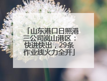 山东港口日照港三公司岚山港区：快进快出，29条作业线火力全开