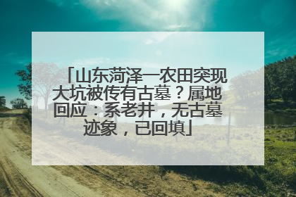 山东菏泽一农田突现大坑被传有古墓？属地回应：系老井，无古墓迹象，已回填