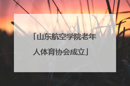 山东航空学院老年人体育协会成立