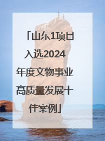山东1项目入选2024年度文物事业高质量发展十佳案例