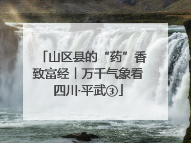 山区县的“药”香致富经丨万千气象看四川·平武③