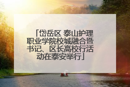 岱岳区 泰山护理职业学院校城融合暨书记、区长高校行活动在泰安举行