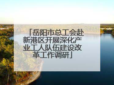 岳阳市总工会赴新港区开展深化产业工人队伍建设改革工作调研
