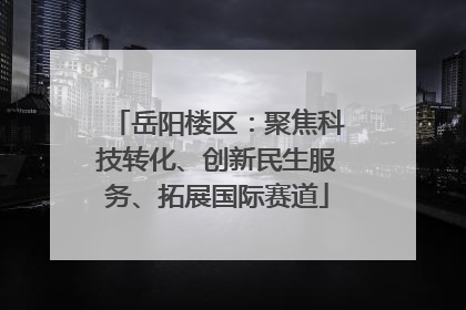 岳阳楼区：聚焦科技转化、创新民生服务、拓展国际赛道