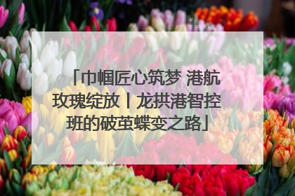 巾帼匠心筑梦 港航玫瑰绽放丨龙拱港智控班的破茧蝶变之路