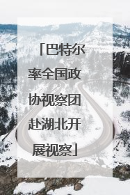 巴特尔率全国政协视察团赴湖北开展视察
