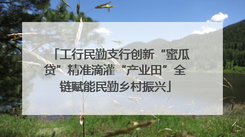 工行民勤支行创新“蜜瓜贷”精准滴灌“产业田”全链赋能民勤乡村振兴