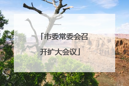 市委常委会召开扩大会议