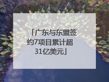 广东与东盟签约7项目累计超31亿美元