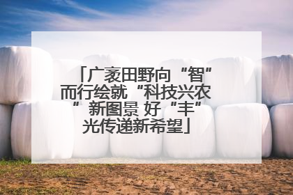 广袤田野向“智”而行绘就“科技兴农”新图景 好“丰”光传递新希望